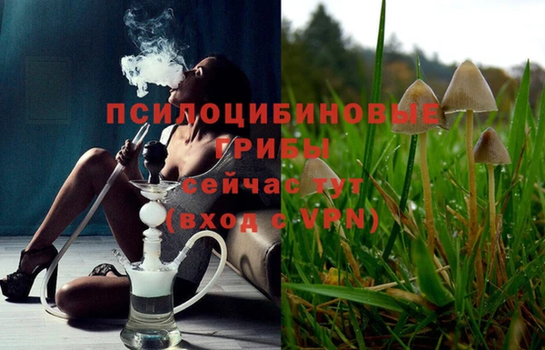 дживик Алексин
