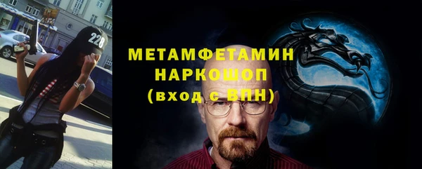 сатива Аркадак